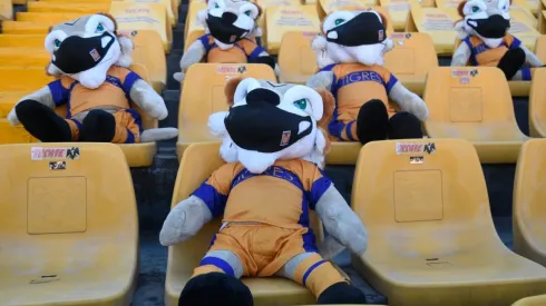 La capacidad del estadio Universitario se reduciría al 50 por ciento.