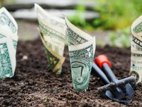 Precio del dólar hoy en México, miércoles 22 de septiembre de 2021, tipo de cambio de dólares a pesos