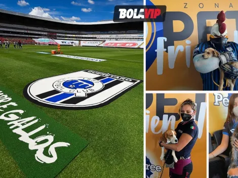 El primer estadio de futbol Pet Friendly es mexicano