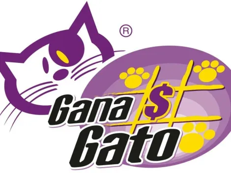 ◉ Resultados Gana Gato de HOY: números que cayeron y combinación ganadora sábado 23 de octubre | Sorteo 2296, premios y boleto