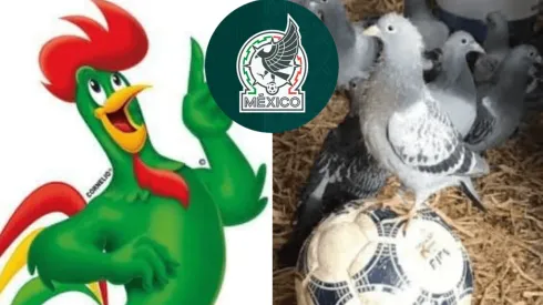 Los memes estallan por el nuevo escudo de la Selección Mexicana.