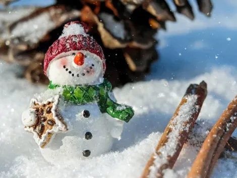 ¿Cuántos días faltan para Navidad 2021?