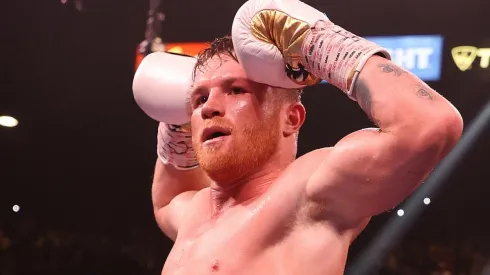 Canelo Álvarez es campeón de cuatro divisiones (Photo by Al Bello/Getty Images)