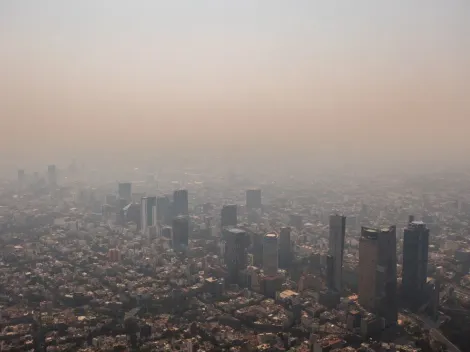 Continúa el Doble Hoy No Circula por contingencia ambiental: ¿Qué carros no circulan este lunes 14 de noviembre en CDMX y el Estado de México?