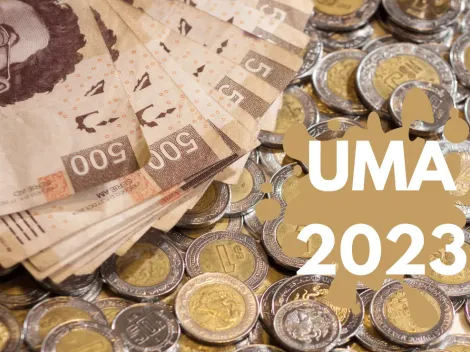 UMA 2023: Esto valdrá la Unidad de Medida y Actualización que se usa para pagar multas