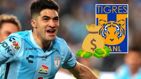 Nicolás Ibáñez se suma a los Tigres.