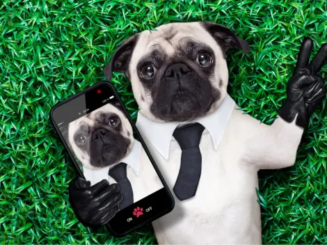 ¿A tu perro le dicen el dramas? Descúbrelo en este test