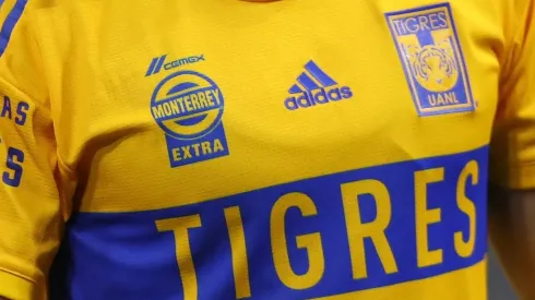 ¿Quién se hará cargo de los Tigres?