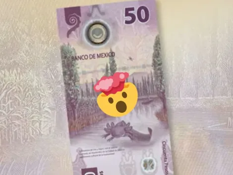 La razón por la que este billete de 50 pesos vale más de medio millón