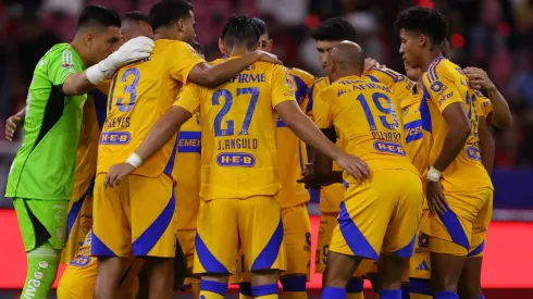 Los Felinos solamente han anunciado un refuerzo en este mercado de fichajes.