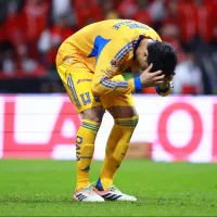 ¿Por qué Tigres podría quedarse con Nicolás Ibáñez para el Clausura 2026?