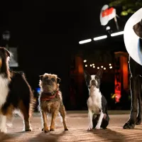 Prime Video: Jamie Foxx's Strays became the most-watched movie in the US