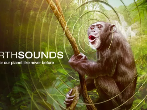 Apple TV+'s Earthsounds: When does the docu-series with Tom Hiddleston premiere?