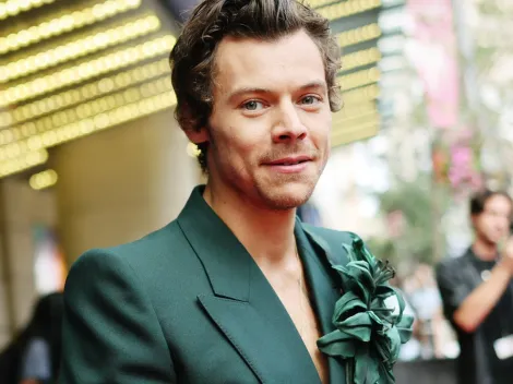 Harry Styles' upcoming projects: What is the actor doing next?
