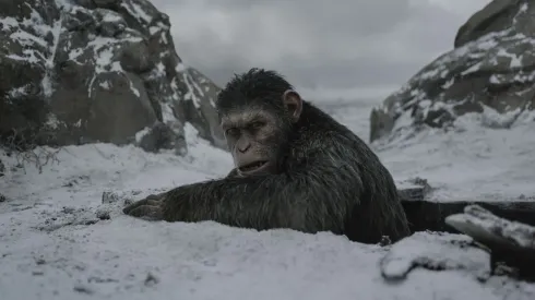 Andy Serkis in War for the Planet of the Apes.