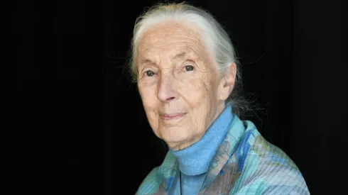 Dr. Jane Goodall attends the TIME 100 Summit 2019.