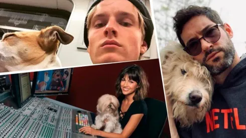 Las fotos más adorables de los famosos de Netflix y sus perros