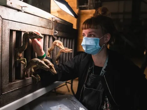 Finalizó el rodaje de Jurassic World Dominion: cuánto les costó la pandemia