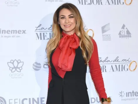 Aracely Arámbula sobre la serie de Luis Miguel: "Me encantaría que se acabara antes de mí"