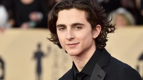 Timothée Chalamet en los SAG Awards 2019