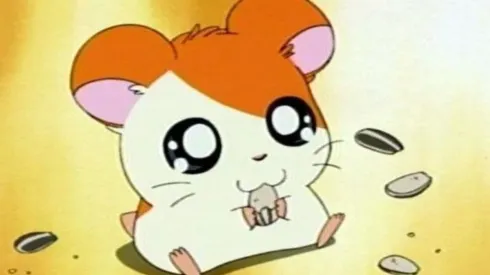 Dónde ver animés muy tiernos como Bananya, Hamtaro, Aggretsuko y más.