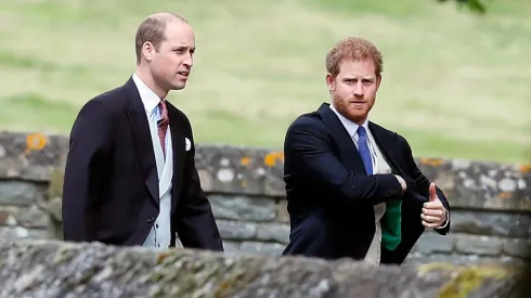 Los Príncipes Harry y William