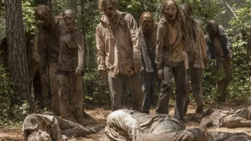 Un personaje muy querido regresa para la temporada final de The Walking Dead