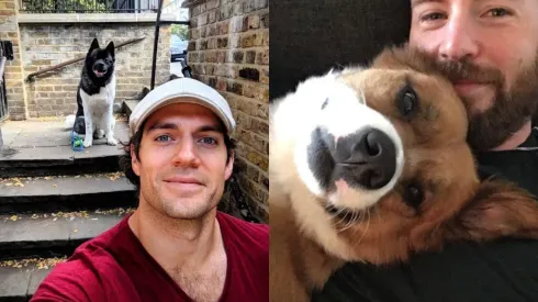 Henry Cavill y Chris Evans con sus perros