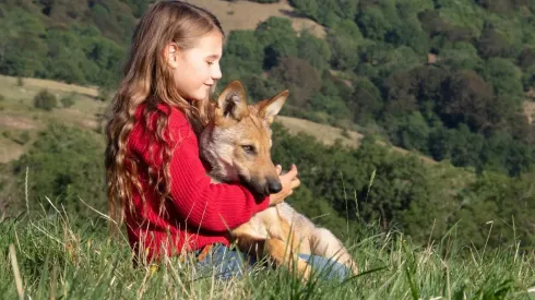 Mystère, la película francesa que triunfa en Netflix.