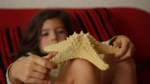 Malintzin 17, película mexicana que compite en el IFFR. (Foto: Cineteca Nacional)