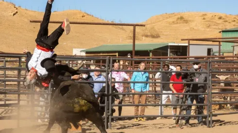 La película se estrenó el 4 de febrero.