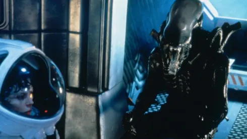 La saga ya tiene 5 películas.