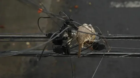 Malintzin 17, película que llega a México gracias al FICUNAM. (Foto: Malintzin 17)