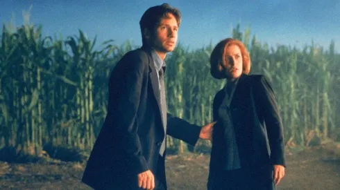 La serie se creó en 1993.