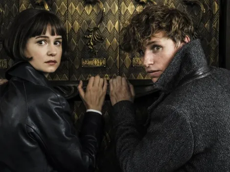 ¿Por qué Katherine Waterston desapareció de Animales Fantásticos?