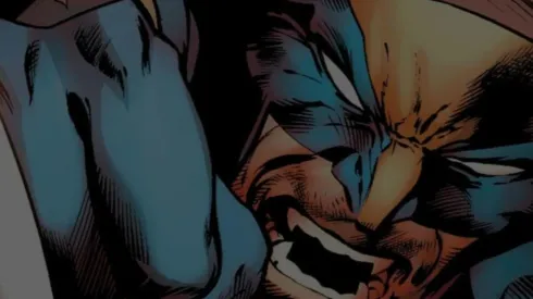 Wolverine en acción