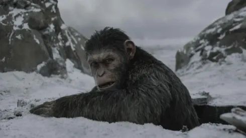 César de la última trilogía