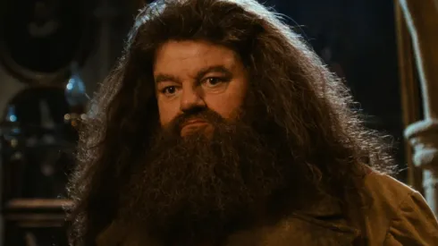Robbie Coltrane como Rubeus Hagrid.