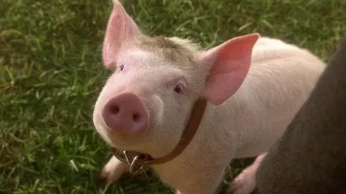 Fue por un clásico de los 90.