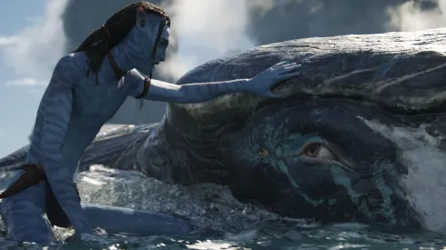 Avatar: el camino del agua.