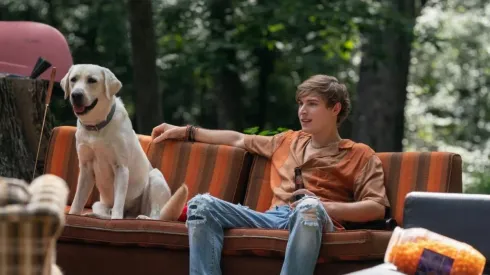 Perro Perdido es una historia real