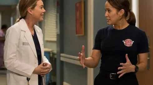Grey's Anatomy tendrá capítulos de estreno en Sony Channel (Foto: Sony Channel)
