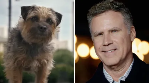 Strays, la próxima película de Will Ferrell.