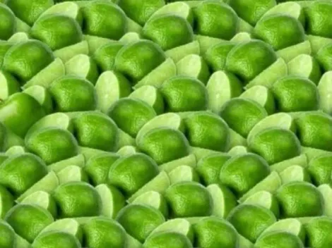 Solo para INVESTIGADORES: encuentra la MANZANA OCULTA en la imagen