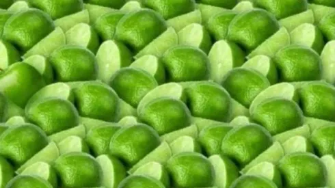 Solo para INVESTIGADORES: encuentra la MANZANA OCULTA en la imagen