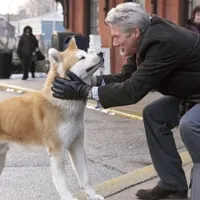 \'Siempre a tu lado\': La historia real del perro Hachiko