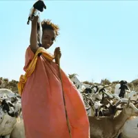¿Flor del Desierto está en Netflix o Prime Video? Dónde ver la película online