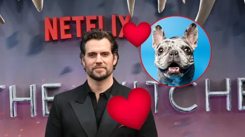 Perrito fan de 'The Witcher' cumple su sueño de conocer a Henry Cavill