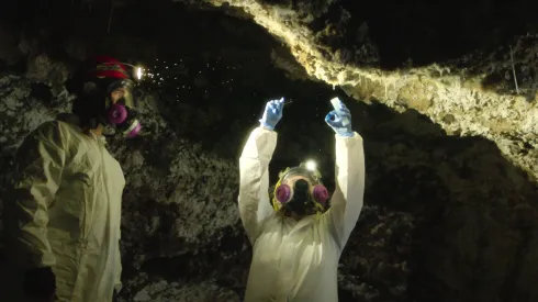 Disfruta ya de estas series y películas en streaming