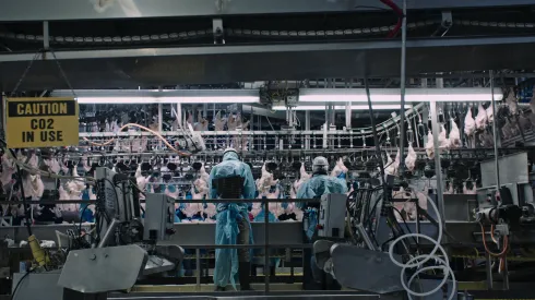 El documentla más visto dura menos de hora y media.